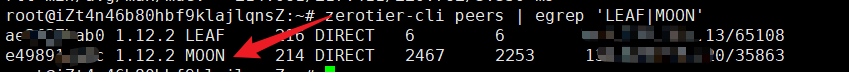 image-20240223022221893